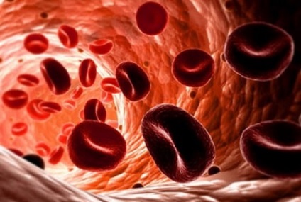 Purificarea vaselor de sânge și a limfei prin remedii folclorice - longevitate sănătoasă