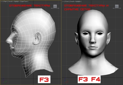 Ferestrele de proiecții, interfața 3d max, soohar - lecții pe grafice și fotografii 3D ale Photoshop