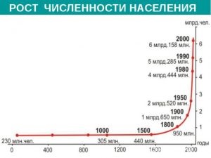 Instinctul de bază este de a devora - auditul vieții