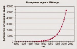 Instinctul de bază este de a devora - auditul vieții