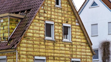 Decorarea casei cu gândacul de scoarță de fațadă - instrucțiunea cu fotografie și descriere