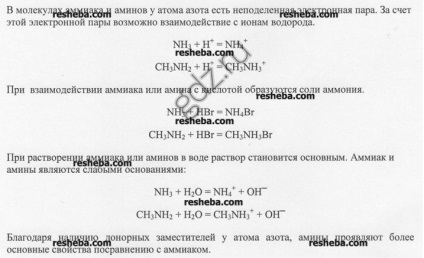 Отговорите на участъка 37, 10 клас