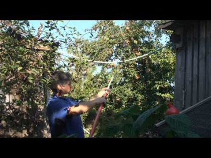 Stick-shooter pentru colectarea merelor