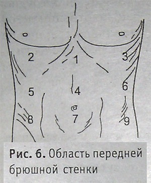 Palparea abdomenului, a stomacului, a intestinelor - site-ul ambulanței neoficiale al orașului Ekaterinburg