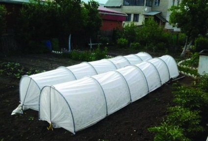 Greenhouse - betakarítás üvegházhatású jó csodát saját kezűleg, leírások és telepítési módszer (kéz) Greenhouse - betakarítás üvegházhatású jó csodát saját kezűleg, leírások és telepítés módja