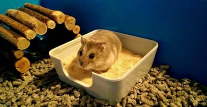 Nisip pentru îmbăierea unui hamster și a unei băi de nisip