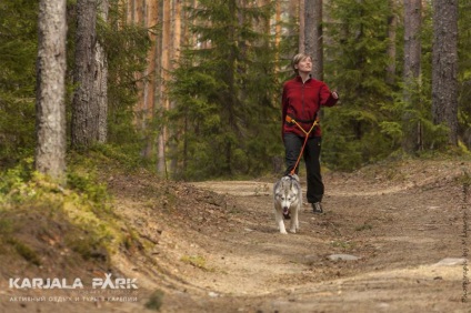 Kennel Husky din Karelia, odihnă și turism de la parcul karjala