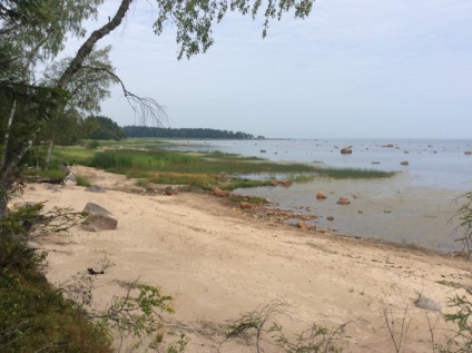 Plajele de pe coasta de sud a Golfului finlandez