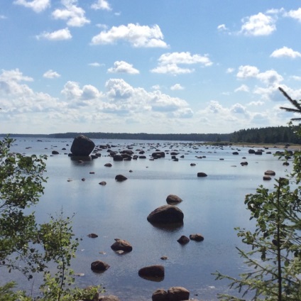 Plajele de pe coasta de sud a Golfului finlandez