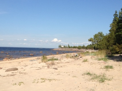 Plajele de pe coasta de sud a Golfului finlandez