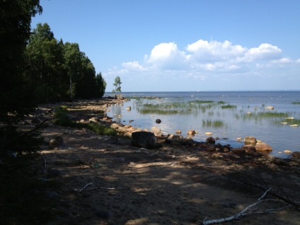 Plajele de pe coasta de sud a Golfului finlandez