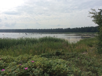 Plajele de pe coasta de sud a Golfului finlandez