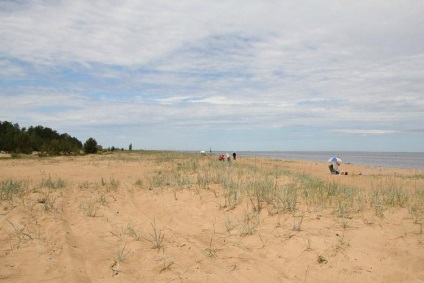 Plajele de pe coasta de sud a Golfului finlandez