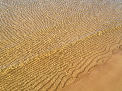 Plajele de pe coasta de sud a Golfului finlandez