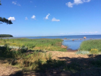 Plajele de pe coasta de sud a Golfului finlandez