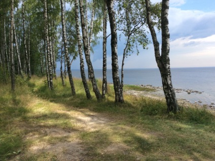 Plajele de pe coasta de sud a Golfului finlandez