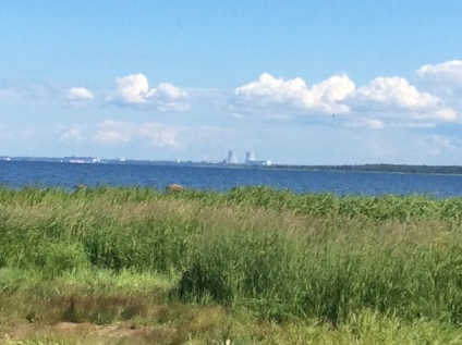 Plajele de pe coasta de sud a Golfului finlandez