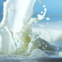 De ce să crească subțire din zerul de lapte