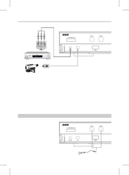 Conectarea, conectarea microfoanelor, Manual de utilizare bbk dw9918k, pagina 15