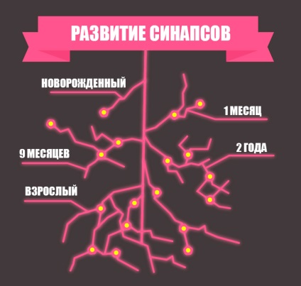 Poștă cu imagini decât creierul copilului este diferită de cea a adultului