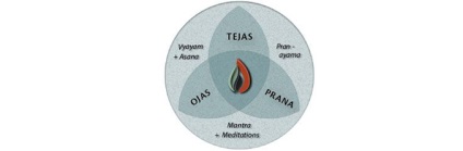 Prana, tejas, ojas, yoga, slavyoga