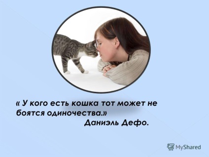 Представяне на и -, които имат котка, която не се страхува от самотата