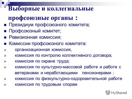 Prezentare privind raportul comitetului sindical al organizației sindicale primare a salariaților mbuz