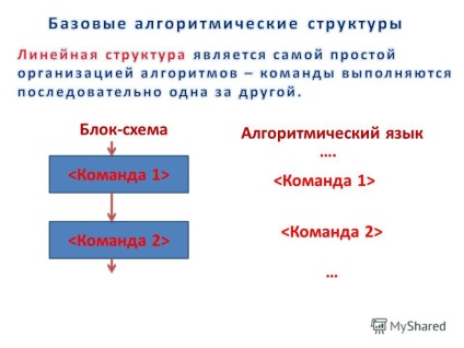 Prezentarea variabilelor în algoritmi