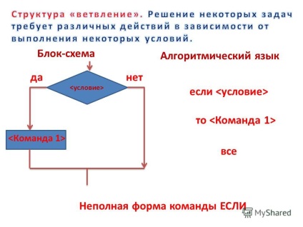 Prezentarea variabilelor în algoritmi