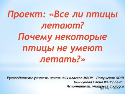 O prezentare pe tema proiectului este o păsări care zboară de ce unele păsări nu știu cum să zboare cu un lider