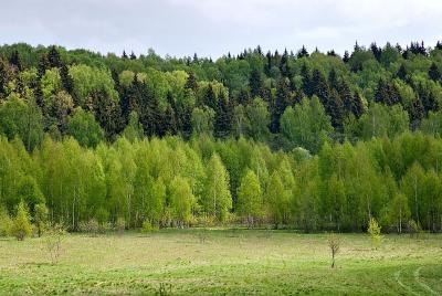 Természet, növények és állatok a moszkvai régió