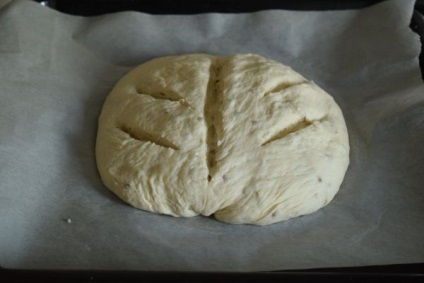 Pâine de grâu - o rețetă pentru pâine din făină de grâu pe drojdie cu o fotografie