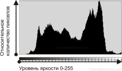 Renat al Mansurii, care este histograma luminozității și cum va fi folosită - exact despre complex