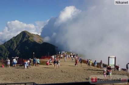 Fermă de trandafiri, satul olimpic, Sochi - 