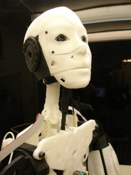 Asamblarea robotului umanoid inmoov