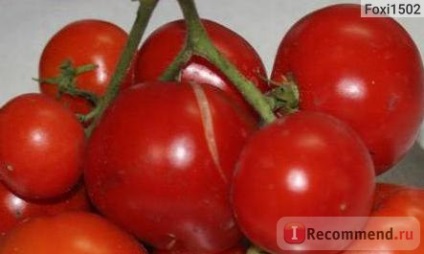 Semințe de oase gavrish tomate mm - 
