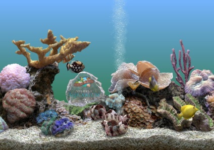 Завантажити serenescreen marine aquarium serial