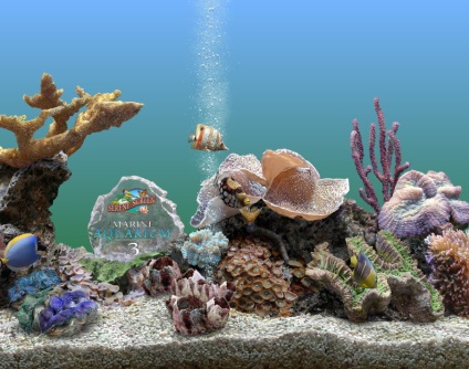Töltse serenescreen tengeri akvárium soros