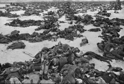Câte zile a trecut ultima bătălie de la Stalingrad
