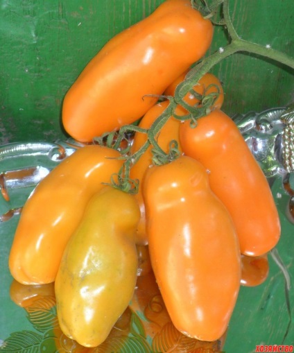 Soiuri de tomate cu formă neobișnuită