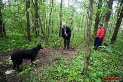 Voi găsi o salvare! Ciobanescul era legat de un copac și aruncat în pădure