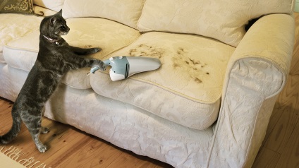 Mai ales pentru proprietarii de pisici sau câini, vă spun cum să alegeți o țesătură pentru o canapea asta