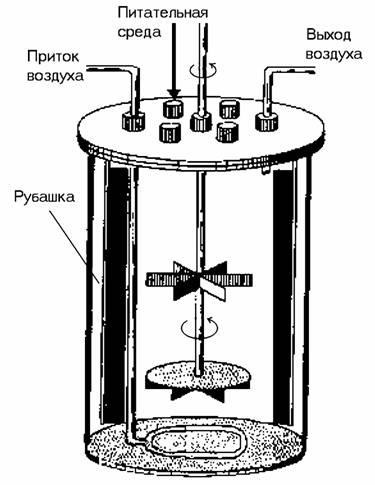 Stadiul de fermentare, instalarea unui bioreactor (fermentator)