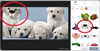 Стикери за снимка VKontakte - налагането на етикети, VC редактора