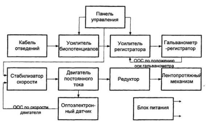 Diagrama bloc a electrocardiografului