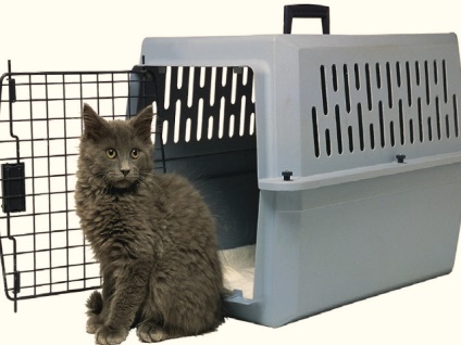 Geantă de transport pentru pisici - ce să alegeți pentru animalul dvs. de companie