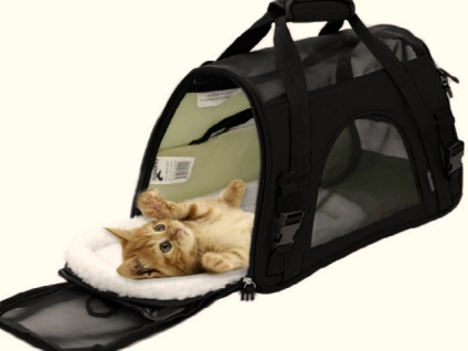 Geantă de transport pentru pisici - ce să alegeți pentru animalul dvs. de companie