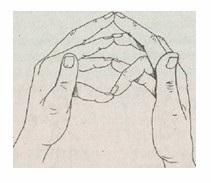 Surabhi mudra (- vacă -)