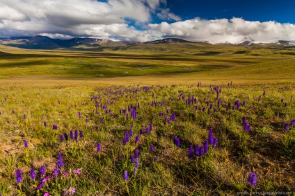 În cazul în care curcubeul începe, știri de fotografie