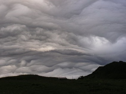 Undulatus asperatus - nori diabolici, planeta cogito